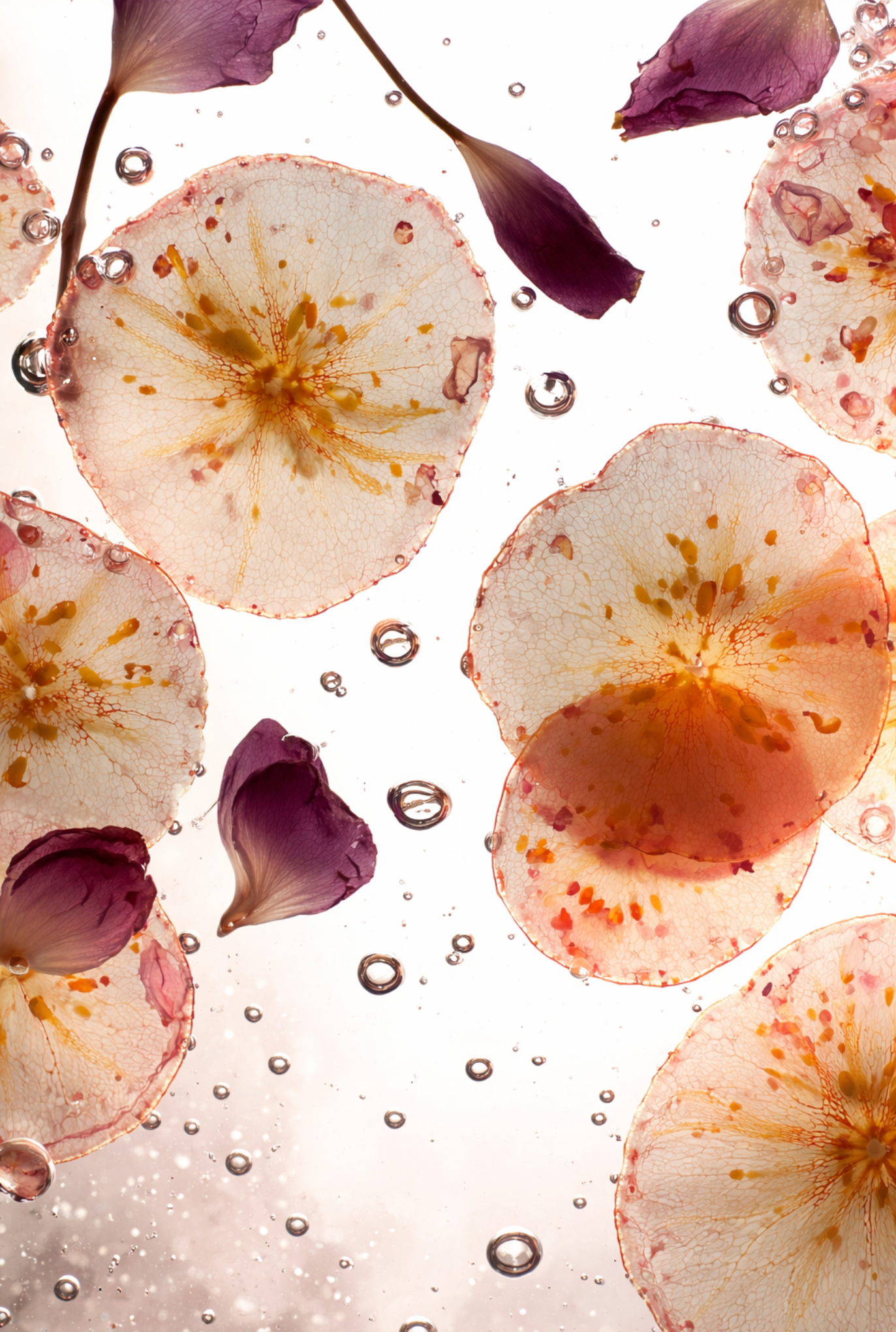 Eau de Champagne Eau de Parfum